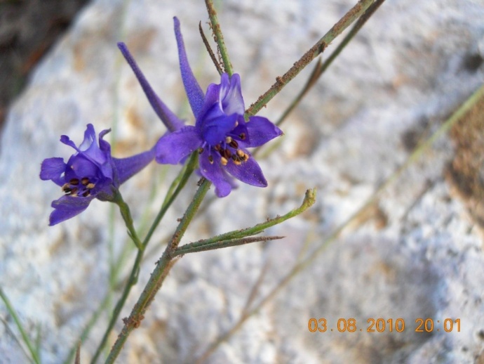 DSCN0760.JPG